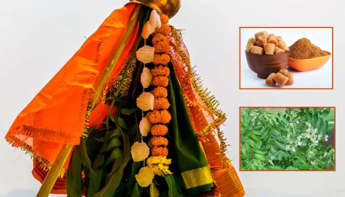 गुढीपाडव्याला कडुलिंब आणि गुळाचा प्रसाद का खावा? फक्त धार्मिकच नाही तर आरोग्यदायी कारणंही महत्त्वाचं