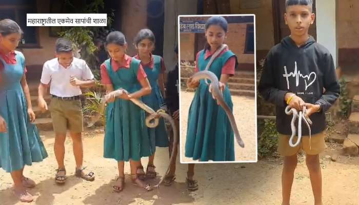 महाराष्ट्रातील एकमेव सापांची शाळा! इथून प्रत्येकजण सर्पमित्र बनूनच बाहेर पडतो; Video पाहाच