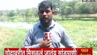 गोदावरी नदी अद्याप प्रदूषितच, गोदावरीत मिसळलं जातंय सांडपाणी