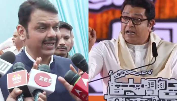&#039;...जर कायदा हातात घेतला&#039;, राज ठाकरेंच्या &#039;त्या&#039; आदेशावर फडणवीसांनी मांडली भूमिका, औरंगजेबाच्या कबरीवर म्हणाले, &#039;तिचं रक्षण...&#039;