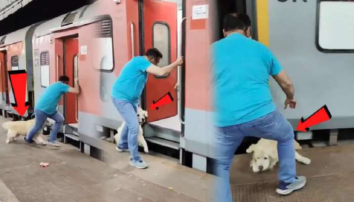 कुत्र्यासहीत धावती ट्रेन पकडायला गेला अन्...; घडलेला प्रकार पाहून लोक म्हणाले, &#039;कायमचा जेलमध्ये टाका&#039;