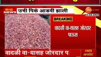 Akola Rain | अकोल्यात वादळी वाऱ्यासह जोरदार पाऊस,  अवकाळीमुळे शेतीचं नुकसान