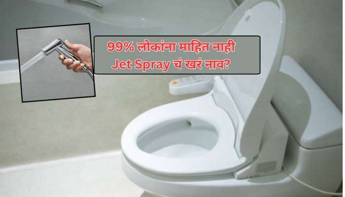 Jet Spray नाही मग काय? वेस्टर्न टॉयलेटमध्ये असणाऱ्या छोट्या शॉवरला काय म्हणतात? 