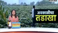 आठवडाभरापासून राज्यात अवकाळीचा तडाखा, अवकाळीमुळे 13 हजार हेक्टरवरील पिकांचं नुकसान