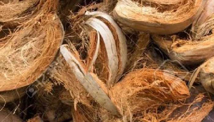 नारळाची साले कचऱ्यात फेकताय? आधी  जाणून घ्या 5 अनोखे फायदे!