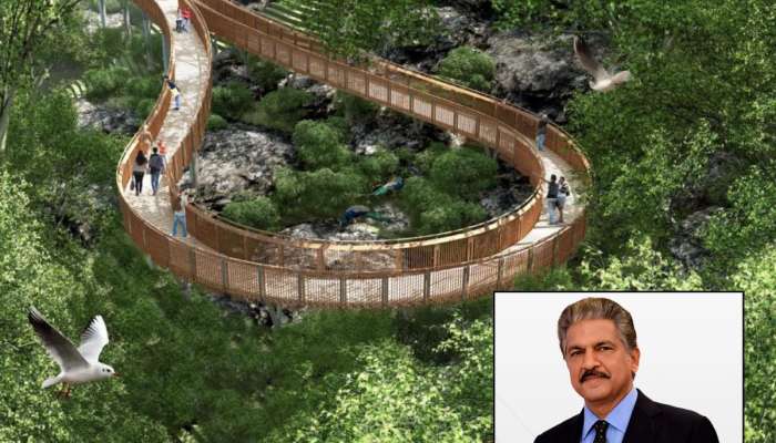 'मला माहित आहे... ' आनंद महिंद्रांनी मुंबईच्या पहिल्या Elevated Nature Trail 