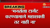 मनसेला टार्गेट करणाऱ्यांमागे कदाचित ‘महाशक्ती’ तर नाही? रोहिणी खडसेंचा सवाल