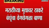 मराठीच्या मुद्द्यावर ठाकरे बंधूंचा वेगवेगळा बाणा 
