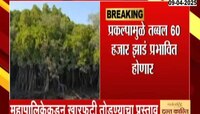 मुंबईतली 9 हजार झाडं तोडणार! कोस्टल रोडच्या दुसऱ्या टप्प्यासाठी खारफुटीचा बळी