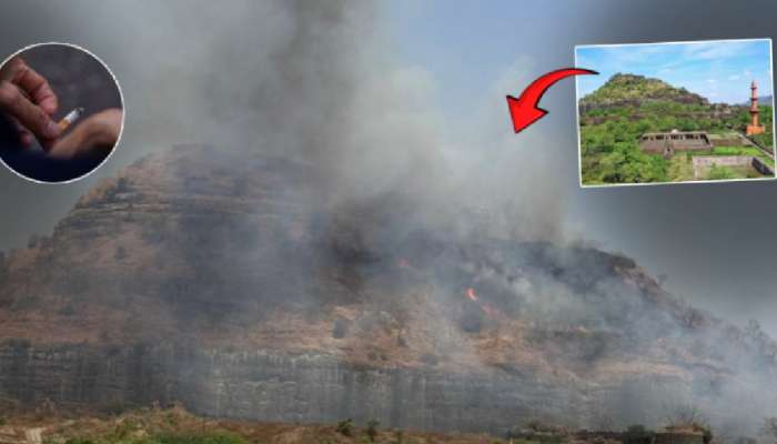 सिगारेटच्या ठिणगीमुळे महाराष्ट्रातील प्रसिद्ध किल्ल्याला आगीचा वेढा; 40 घोरपडी होरपळल्या अन्...