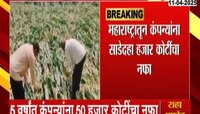 पीक विमा योजनेचा शेतकऱ्यांऐवजी कंपन्यांनाच फायदा; 5वर्षांत कंपन्यांना कंपन्यांना 50 हजार कोटींचा नफा
