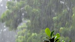 48 तास धोक्याचे! राज्यावर पुन्हा अवकाळीचं सावट...; पाहा कुठे बसणार सर्वाधिक तडाखा
