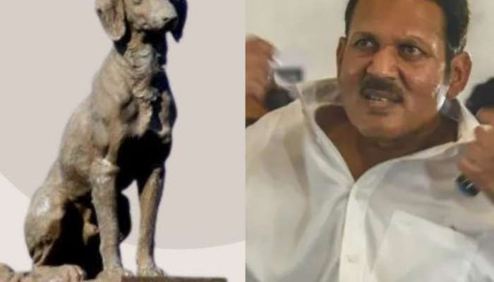 'रायगडावरचा वाघ्या कुत्रा फेकून द्या', उदयनराजे भोसले संतापले, म्हणाले 'ही ब्रिटिशांची कुत्री'