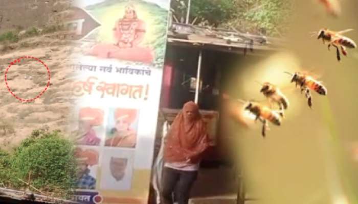 हनुमान जयंतीच्या दिवशीच मधमाशांमुळे भाविकांचा गोंधळ उडालेल्या अंजनेरी पर्वताचं महत्त्व जाणून घ्या हनुमान जयंतीच्या दिवशीच मधमाशांमुळे भाविकांचा गोंधळ उडालेल्या अंजनेरी पर्वताचं महत्त्व जाणून घ्या