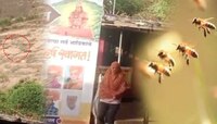 हनुमान जयंती: मधमाशांमुळे भाविकांचा गोंधळ उडालेल्या अंजनेरी पर्वताचं महत्त्व वाचाच