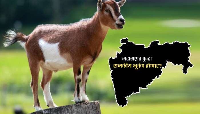 &#039;या&#039; फोटोमुळे महाराष्ट्र हादरणार? पुढील राजकीय भूकंपांची चाहूल? &#039;2 ते 3 दिवस थांबा तुम्हाला...&#039;