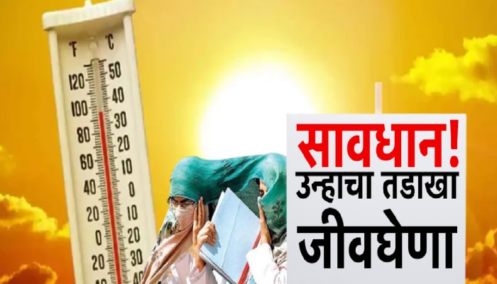 उन्हाचा तडाखा ठरतोय जीवघेणा! बुलढाणा जिल्ह्यात उष्माघाताचा पहिला बळी