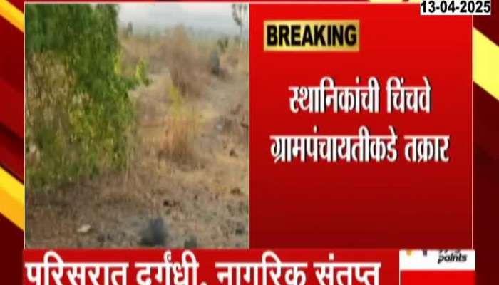 Nashik Chandwad Rahud Ghat Rotten Chickens Pile In Front Of Hanuman Temple 