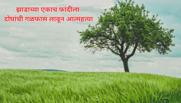 हादरवून टाकणारी बातमी, दोन जिवलग मित्रांची झाडाच्या एकाच फांदीला गळफास लावून आत्महत्या