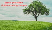 दोन जिवलग मित्रांची झाडाच्या एकाच फांदीला गळफास लावून आत्महत्या