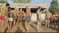 ... म्हणून अकोल्यातील लोक शेण आणि गोमूत्राने करतात आंघोळ 