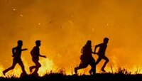 'पळून जाऊन लग्न केलं म्हणून सुरक्षा देऊ शकत नाही,' हायकोर्टाचा निकाल, न्यायमूर्ती म्