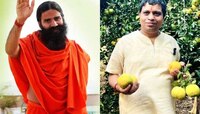 पतंजलीचं अ‍ॅग्रीकल्चर मॉडेल गावाच्या विकासात मदशीर? कसं ते जाणून घ्या...