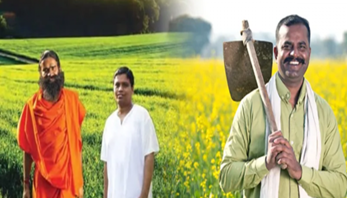 पतंजलीच्या सेंद्रिय शेतीमुळे मातीची गुणवत्ता कशी बदलते?, शेतकरी होतोय बळकट 