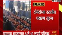 टोमॅटोच्या दरात घसरण; घाऊक बाजारात टोमॅटो 8 ते 10 रुपये प्रतिकिलो 