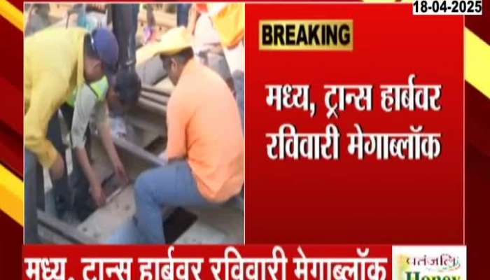 Central And Trans Harbour Railway Megablock On Sunday