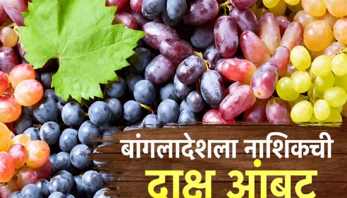  बांगलादेशच्या एका निर्णयामुळे नाशिकमधील द्राक्ष बागायतदार चिंतेत! द्राक्ष्याचे दर 50 टक्क्यांनी गडगडले  