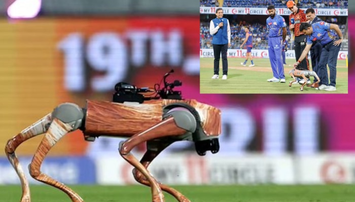 IPL वेळी मैदानात भाव खाऊन जाणरा रोबोट डॉग काय करु शकतो? कोणी बनवलाय? जाणून घ्या सर्वकाही!