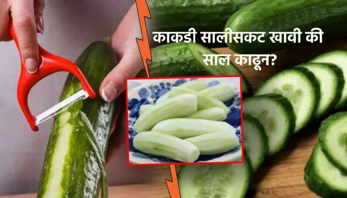 काकडी सालासकट खावी की साल काढून? 99% लोकांना पडतो हा प्रश्न; जाणून घ्या अचूक उत्तर काकडी सालासकट खावी की साल काढून? 99% लोकांना पडतो हा प्रश्न; जाणून घ्या अचूक उत्तर