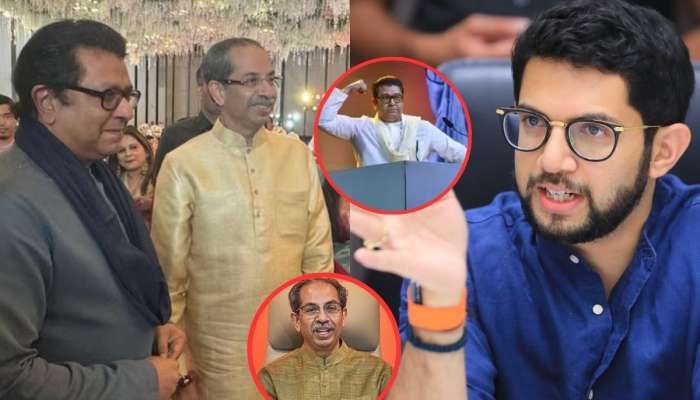 काका राज ठाकरेंनी वडिलांना जाहीर आवाहन केल्यानंतर आदित्य ठाकरेंची एका वाक्यात प्रतिक्रिया, म्हणाले...