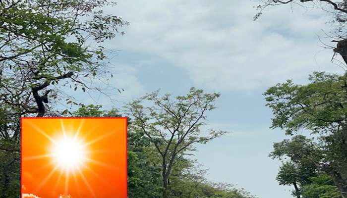 24 तासांत ऊन, वारा, पावसाचा मारा... पाहा मुंबई, रायगड, रत्नागिरीपासून विदर्भापर्यंतचं हवामान वृत्त 