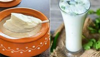 उन्हाळ्यात ताक की दही; शरीर थंड ठेवण्यास काय फायदेशीर? 