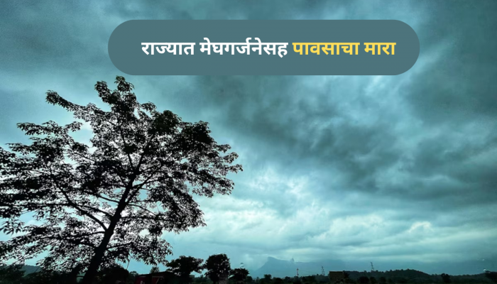 लख्ख सूर्यप्रकाश नाहीसा होणार; काळ्या ढगांची दाटी होत राज्यात मेघगर्जनेसह पावसाचा इशारा