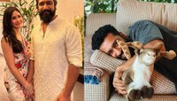 विकी कौशल जुहूच्या सीफेसिंग अपार्टमेंटमध्ये आणखी 3 वर्ष राहण्यासाठी मोजणार कोट्यवधीं