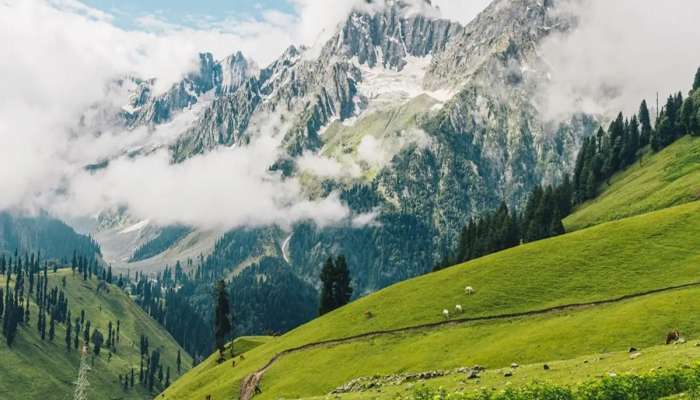 सरकारी आदेशानंतर जम्मू काश्मीरमधील तब्बल 48 पर्यटनस्थळं बंद; तिथं जाणं झाल्यास आता फिरायचं कुठे? 