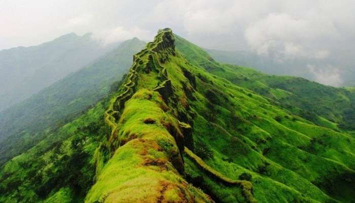 मान्सून ट्रेकची सोय झाली! पाहा रायगड जिल्ह्यातील गड-किल्ल्यांची संपूर्ण यादी; A to Z नावं मान्सून ट्रेकची सोय झाली! पाहा रायगड जिल्ह्यातील गड-किल्ल्यांची संपूर्ण यादी; A to Z नावं