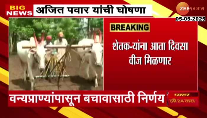 DCM Ajit Pawar Announced Power Supply In Day Time To Farmers