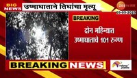 राज्यात वाढत्या तापमानाने उष्मघाताचा धोका; नागपुरात तिघांचा मृत्यू
