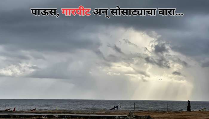 लख्ख सूर्यकिरणांवर पावसाळी ढगांचं सावट; मुंबईपासून विदर्भापर्यंत हवामान विभागाचा सावधगिरीचा इशारा