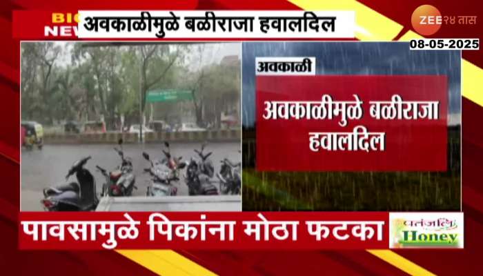 Nashik Malegaon Onion Crop Damage By Unseasonal Rainfall Farmers In Problem