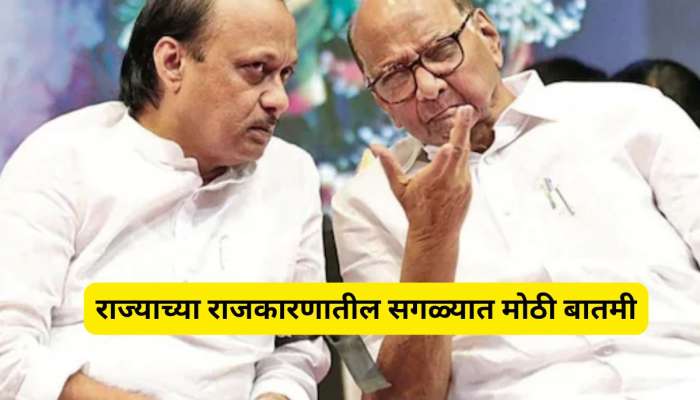 महाराष्ट्राच्या राजकारणात पुन्हा भाकरी फिरणार? शरद पवारांच्या 'त्या' वक्तव्यानंतर पु