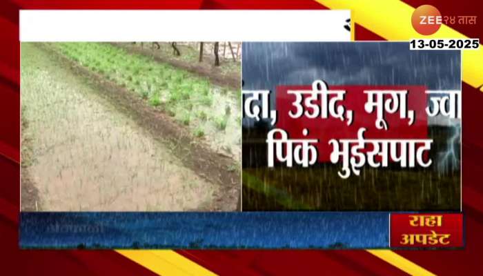 Amravati 10636 Hector Crops Damage From Unseasonal Rainfall