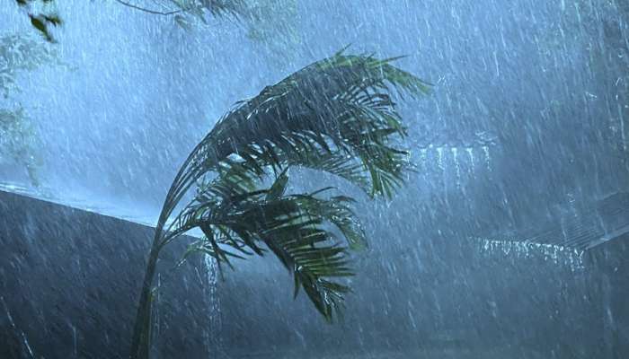 मान्सूनआधी वादळी पाऊस- गारपिटीचा मारा; पुढचे 48 तास मुंबईसह राज्यातील &#039;या&#039; भागांना सावधगिरीचा इशारा
