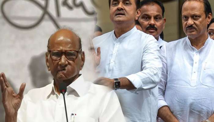 काका- पुतण्याची एकजूट? शरद पवार, अजित पवारांविषयी प्रफुल्ल पटेल यांच्या वक्यव्यानं वेधलं लक्ष