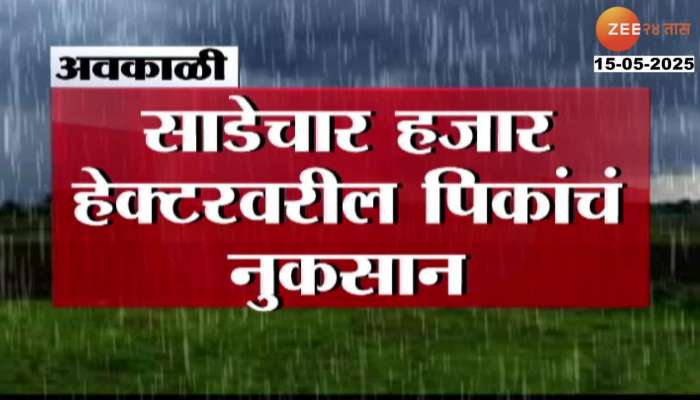 Nashik district hit by unseasonal rains, crops damaged on 4,500 hectares