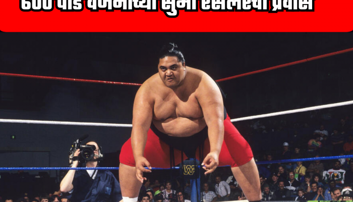 240 अंडी, 3 किलो चिकन, एक बादलीभर भात... WWE मधील सुमो रेसलरचा खुराक  